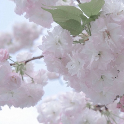 吉安福瑞交流群